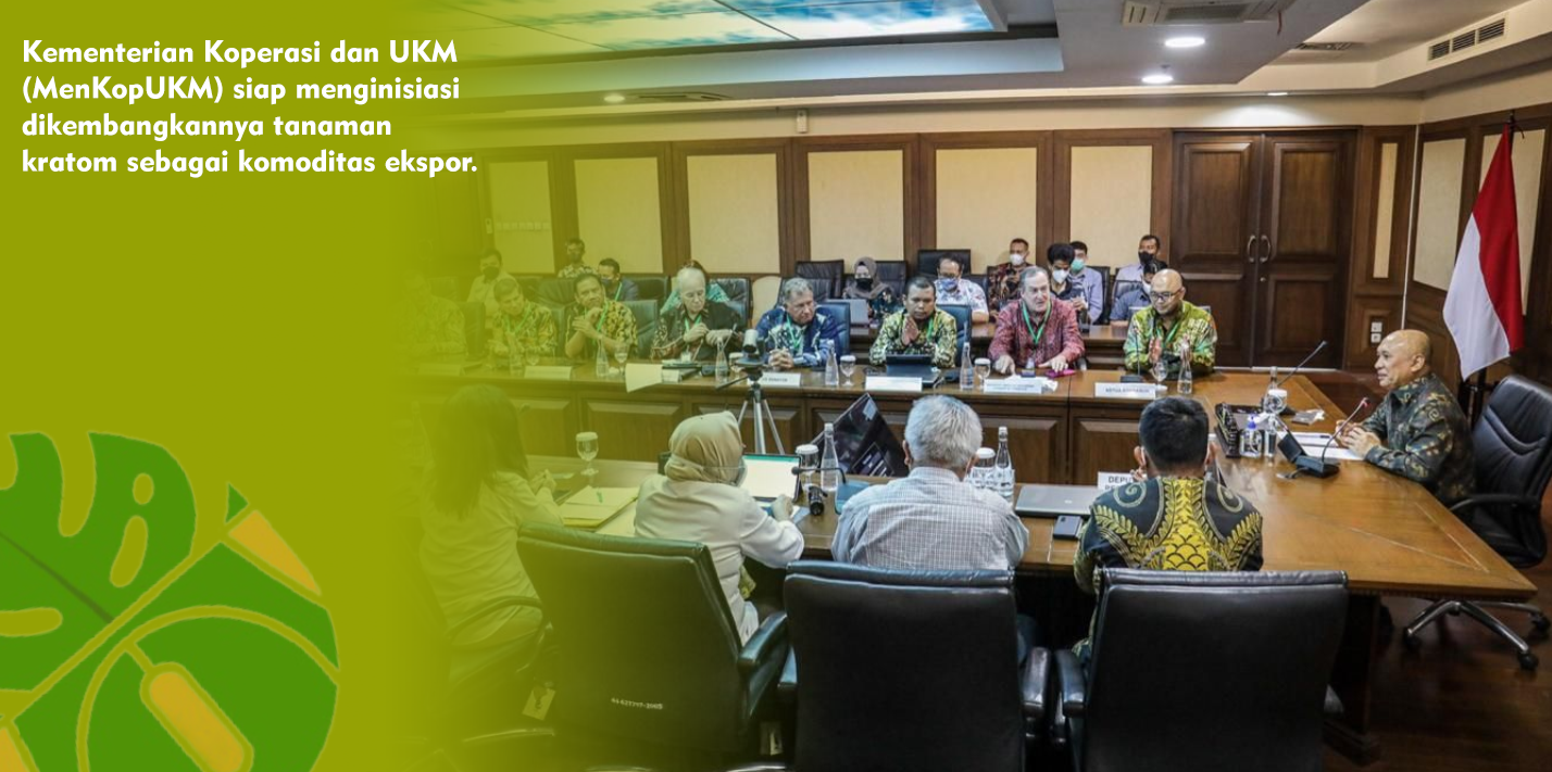 MenKopUKM Siap Kembangkan Tanaman Obat Kratom Sebagai Komoditas Ekspor